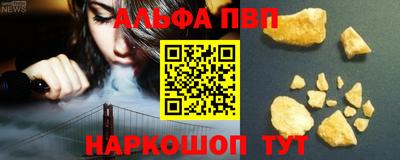 тгк Кингисепп