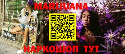 тгк Кингисепп