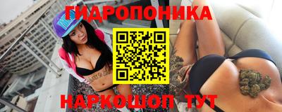 тгк Кингисепп