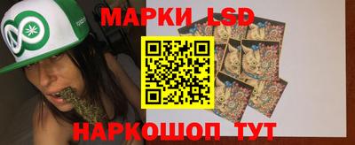 тгк Кингисепп