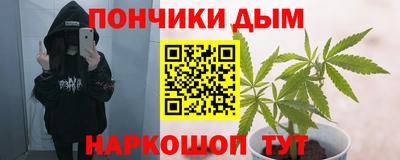 тгк Кингисепп