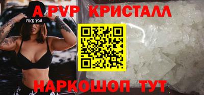 тгк Кингисепп