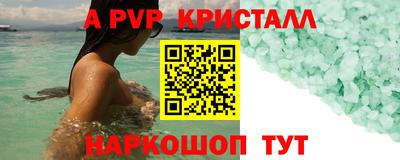 тгк Кингисепп