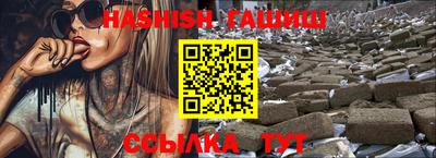 тгк Кингисепп