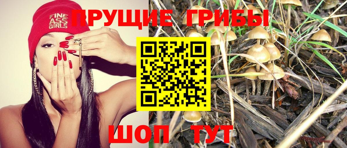 Галлюциногенные грибы Psilocybe  Вход с VPN  что такое   Красноуфимск  Псилоцибиновые грибы MAGIC MUSHROOMS 